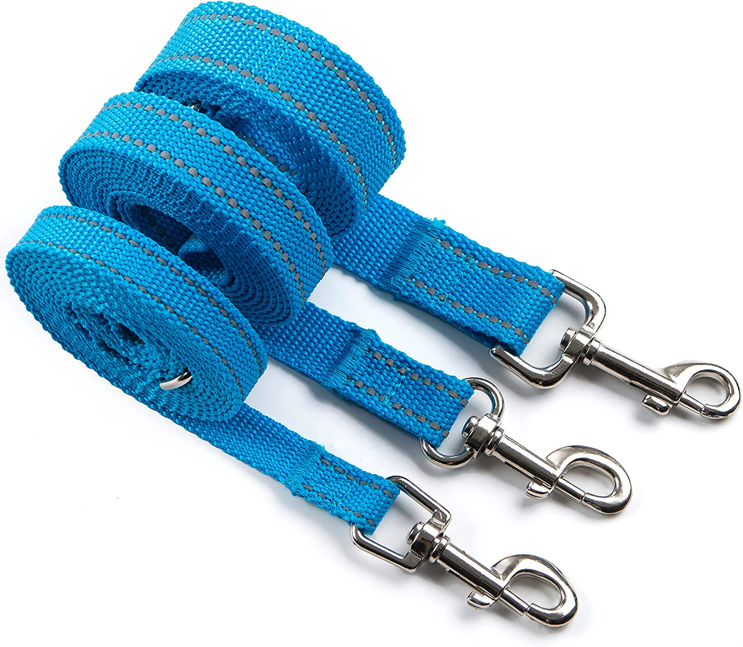 6FT Reflective Dog Leash for Large, Medium and Small Dogs, Strong Durable Nylon (Blue, 1 inch x 6FT)