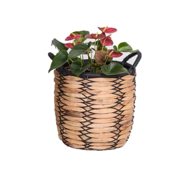 12 Inch Claren Woven Water Hyacinth Basket Planter