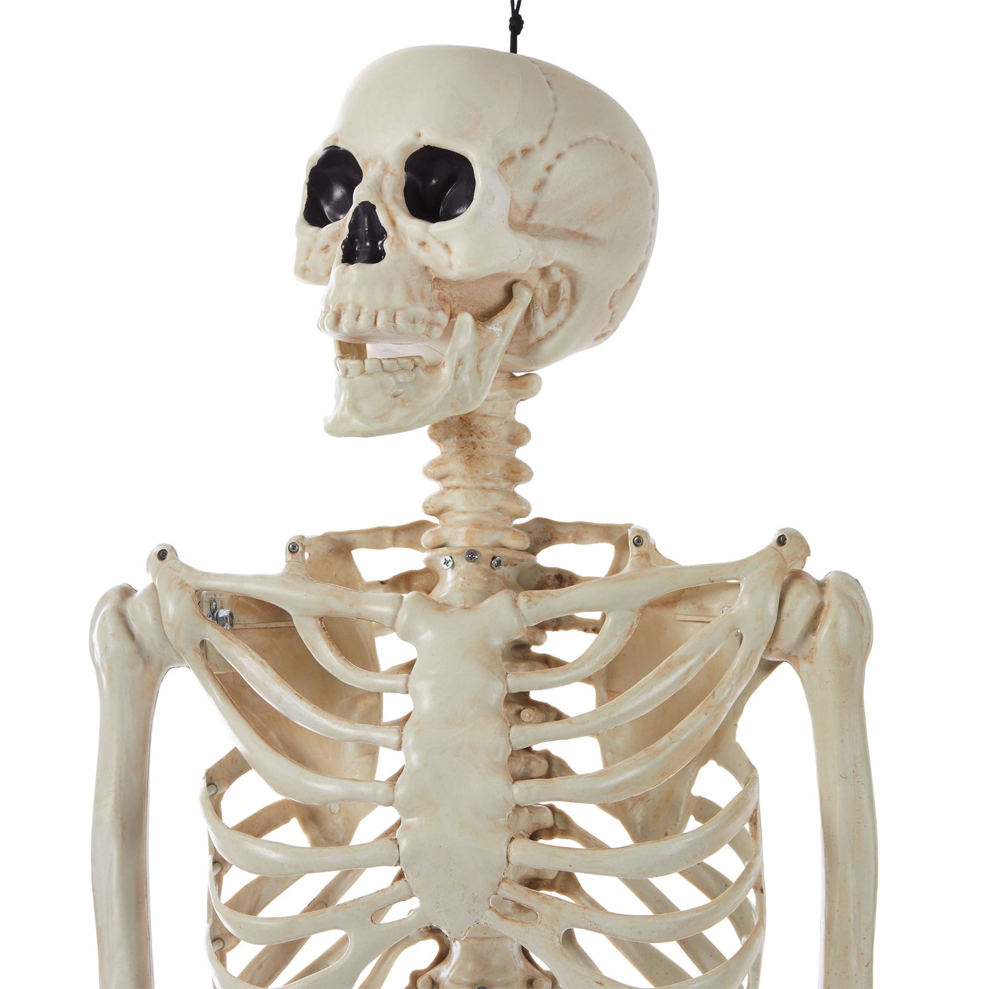 Halloween Hanging Posable Fake Skeleton Decoration, 5'