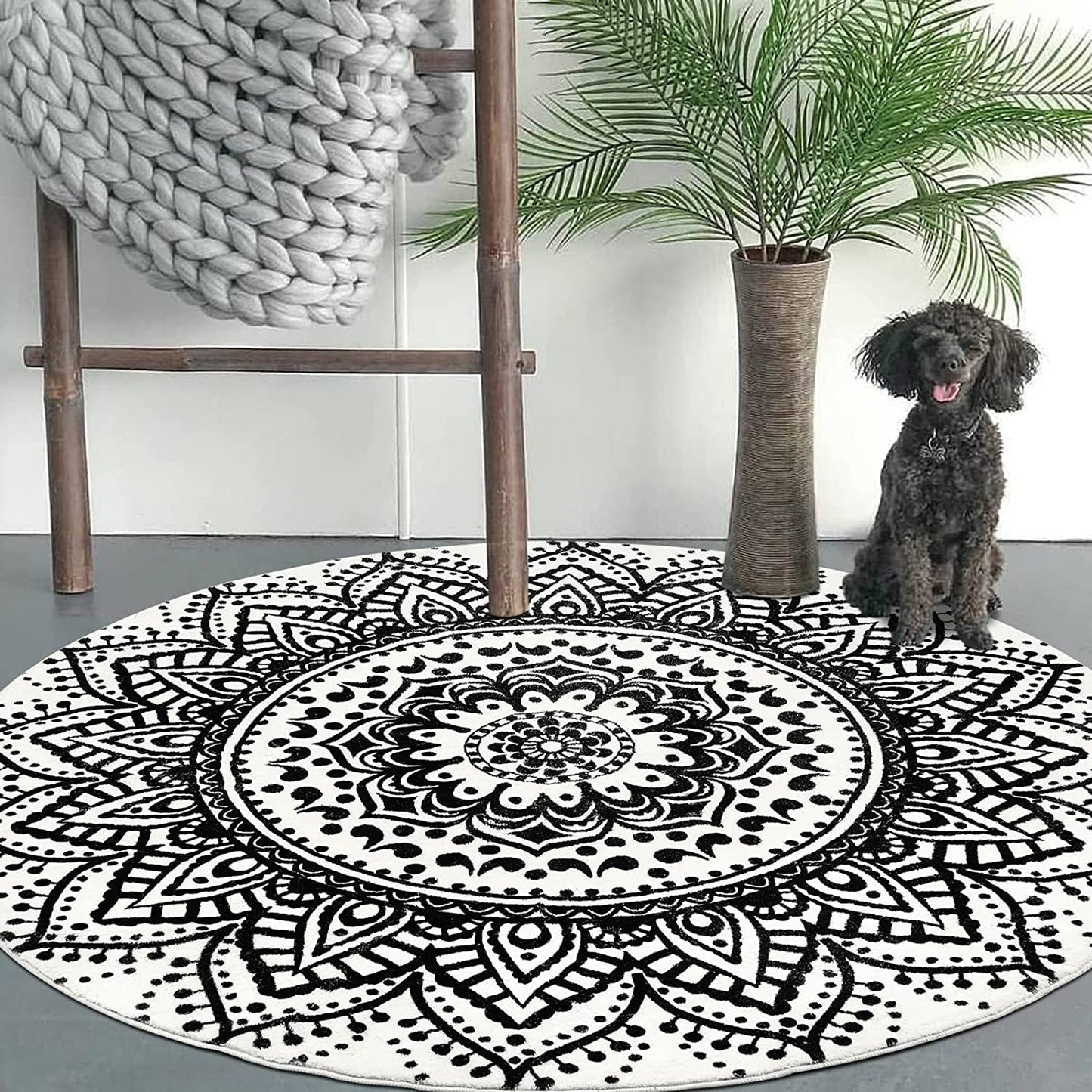 5.25 Ft Large Round Area Rug