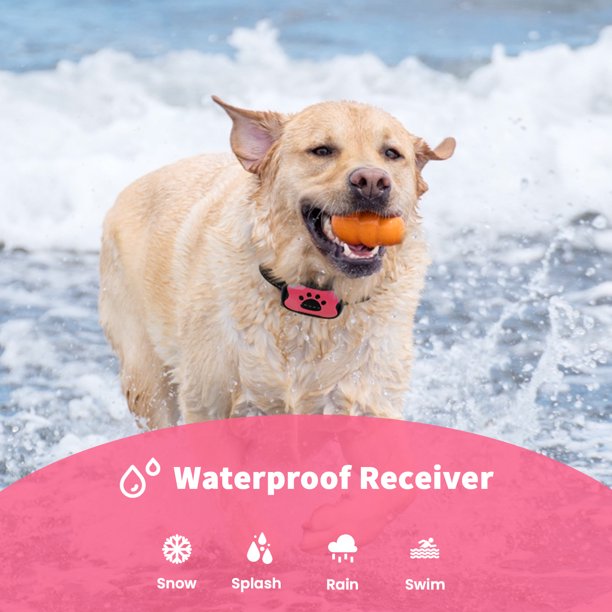 Dog Bark Collar - Humane, Rechargeable No Shock Anti Barking Collar w/ 7 Adjustable Levels for Small Medium Large Dogs, Waterproof (Pink)