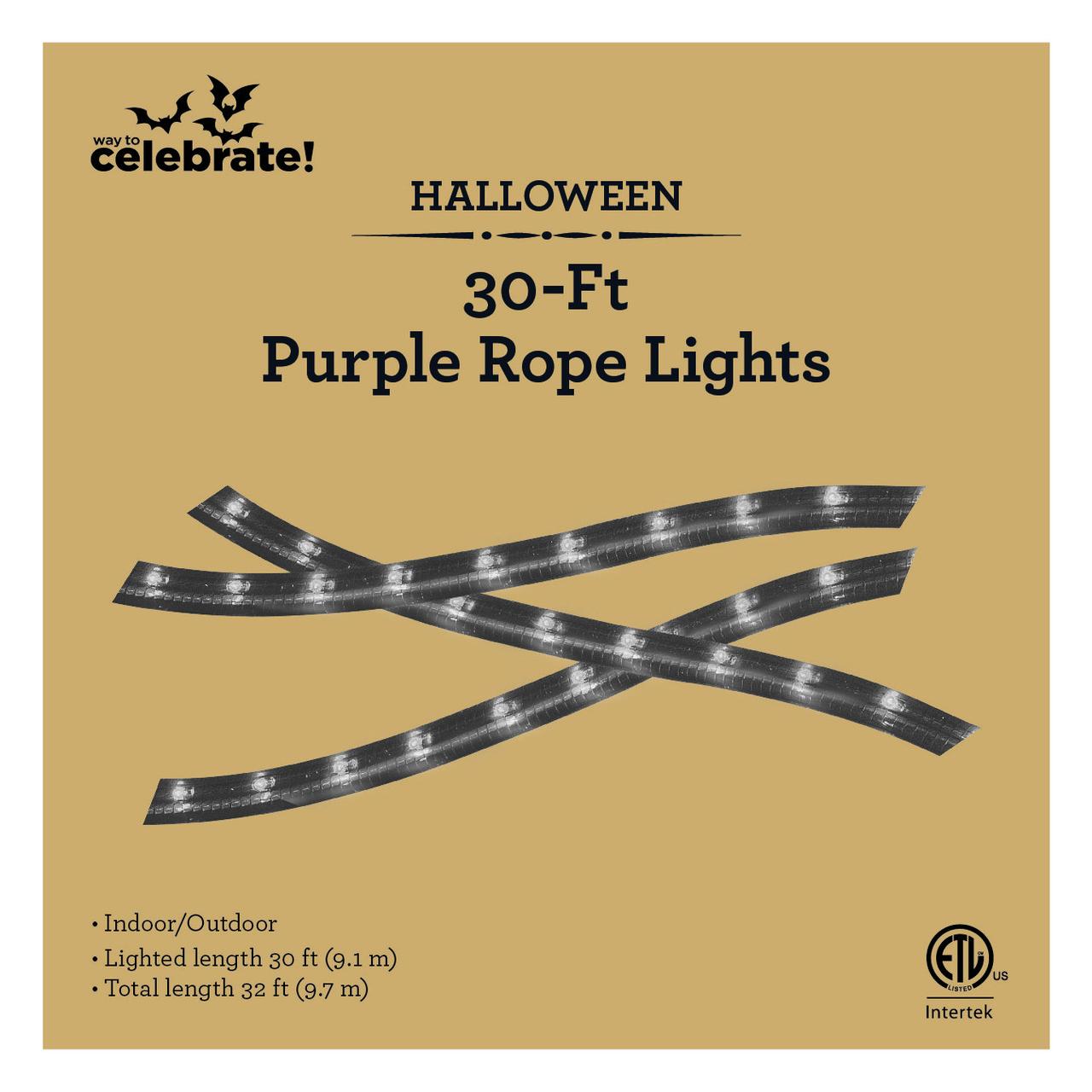 Halloween  Decoration30-Foot  Rope Sting Lights