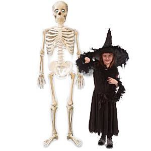 Halloween Skeleton Photo Booth Props Full Size Selfie Kit