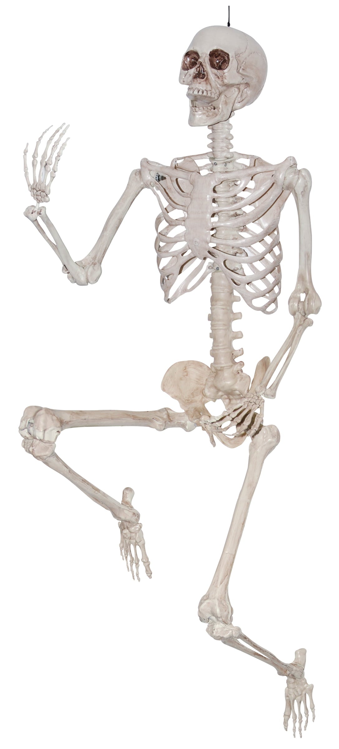 Halloween Hanging Posable Fake Skeleton Decoration, 5'