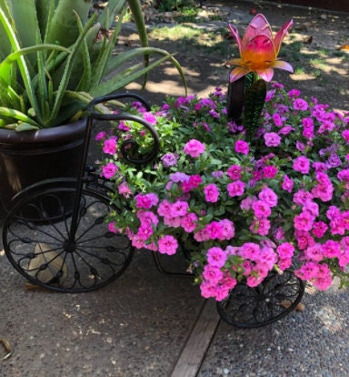 Vintage Style Plant Holder, Bicycle Flower Pot Cart Holder