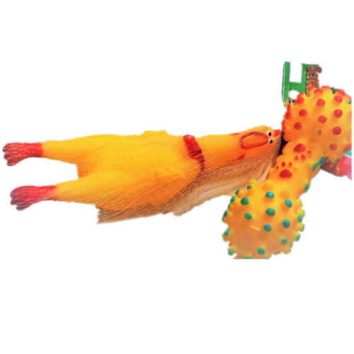 Chew Dog Toys Squeaky Dog Toys for Puppy and Small Medium Dog 6 PCS