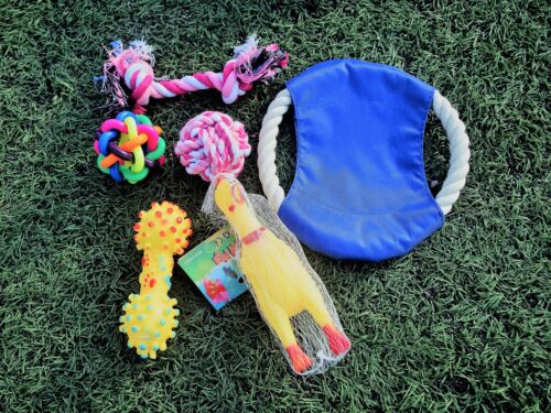Chew Dog Toys Squeaky Dog Toys for Puppy and Small Medium Dog 6 PCS