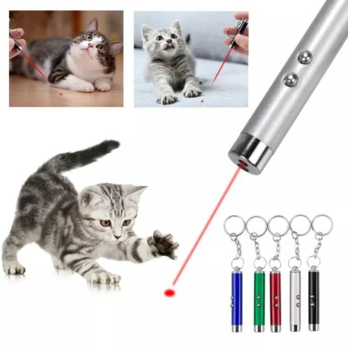 Keychain Red Laser Pointer Pen 650nm With White LED Torch Fun Pet Cat Dog Toy