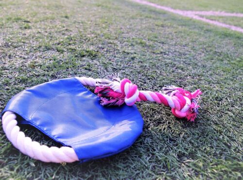 Chew Dog Toys Squeaky Dog Toys for Puppy and Small Medium Dog 6 PCS