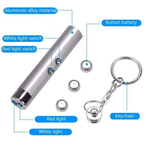 Keychain Red Laser Pointer Pen 650nm With White LED Torch Fun Pet Cat Dog Toy