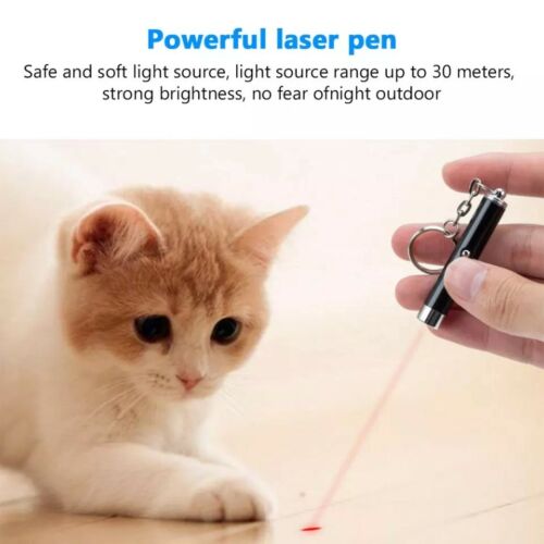 Keychain Red Laser Pointer Pen 650nm With White LED Torch Fun Pet Cat Dog Toy