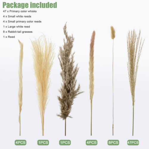 65x Natural Dried Pampas Grass Reed Flower Phragmite Bunch Bouquet Wedding Decor