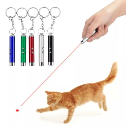 Keychain Red Laser Pointer Pen 650nm With White LED Torch Fun Pet Cat Dog Toy