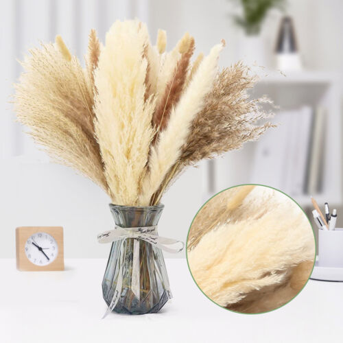 65x Natural Dried Pampas Grass Reed Flower Phragmite Bunch Bouquet Wedding Decor